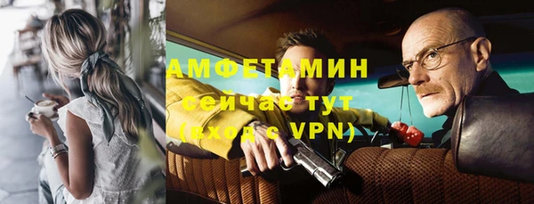 стаф Семилуки