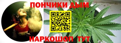 шишки Гагарин