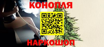 шишки Гагарин