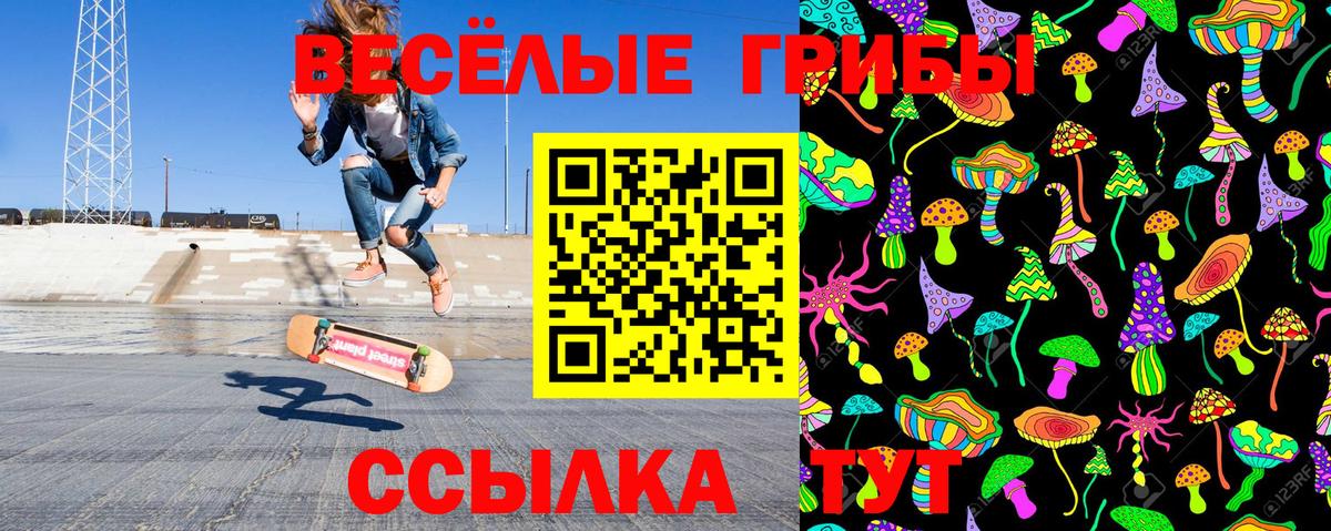 Ноябрьск  где можно купить   Вход с VPN  Псилоцибиновые грибы GOLDEN TEACHER 