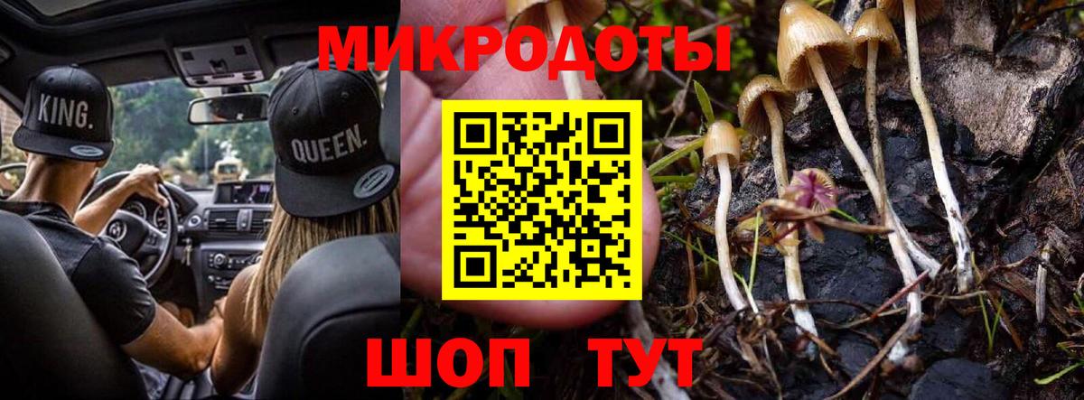 Галлюциногенные грибы Psilocybine cubensis Ноябрьск