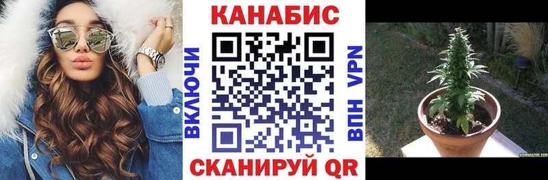 Шишки марихуана сатива Ноябрьск